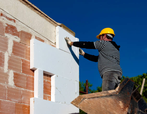 Best Residential Insulation in Dudley, NC