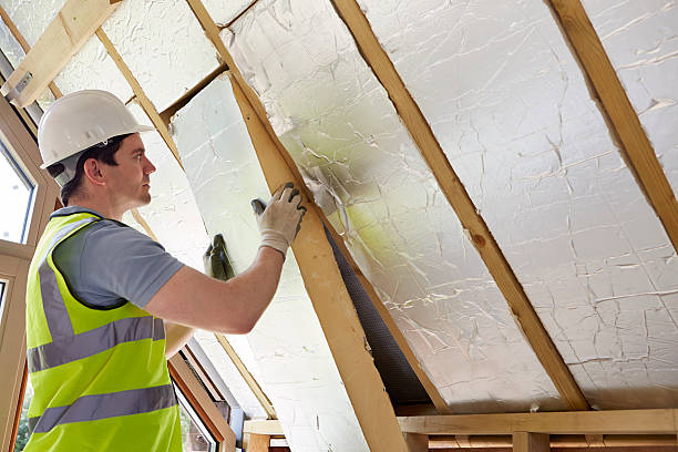 Best Insulation Materials and Products in Dudley, NC