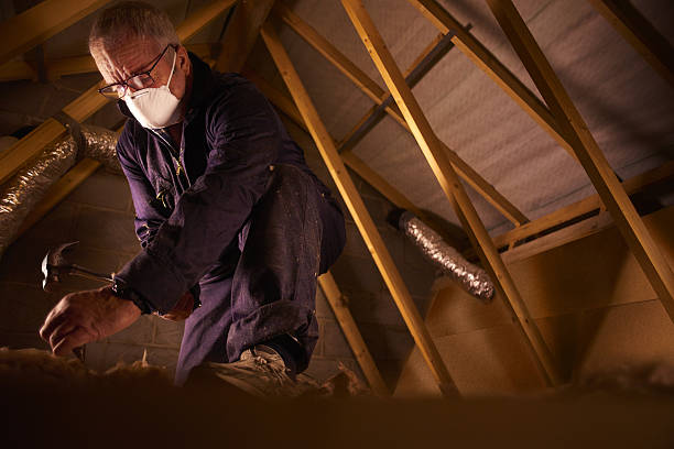 Best Commercial Insulation in Dudley, NC